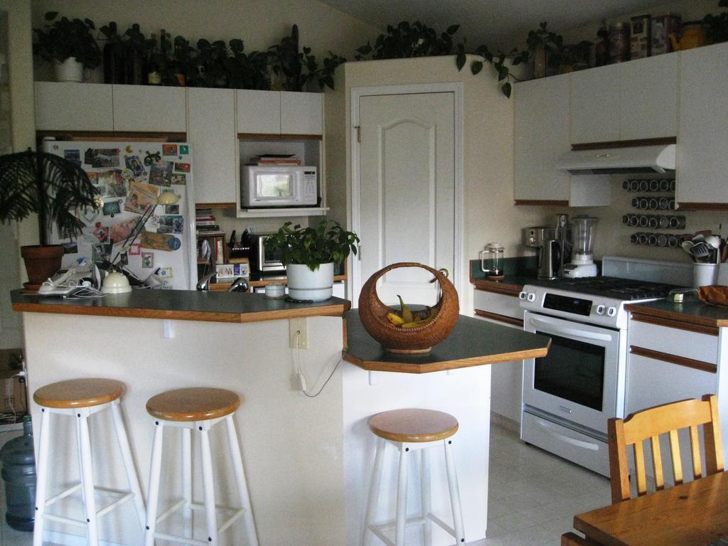 Avens Renaissance B&B Canmore Kültér fotó