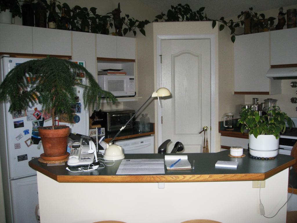 Avens Renaissance B&B Canmore Kültér fotó